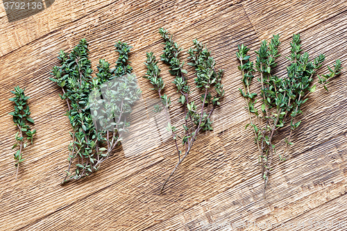 Image of Green thyme twigs