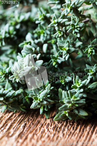 Image of Thyme sprigs