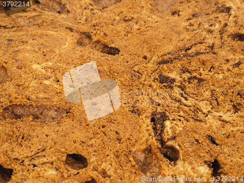 Image of Closeup of freshly made chocolate cake base