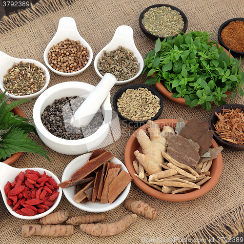 Image of Healing Herbs for Men