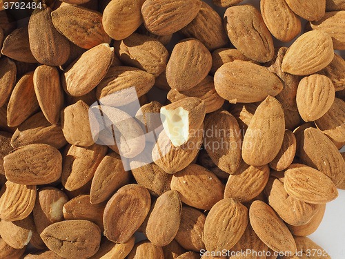 Image of Almonds dried fruit
