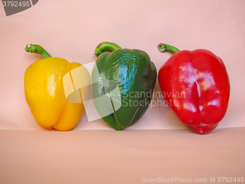 Image of Yellow Green and Red Peppers vegetables