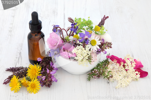 Image of Naturopathic Flowers and Herbs
