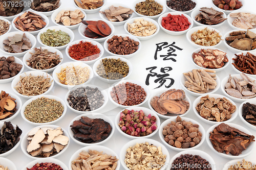 Image of Yin and Yang Chinese Herbs