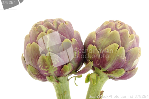 Image of Two artichokes