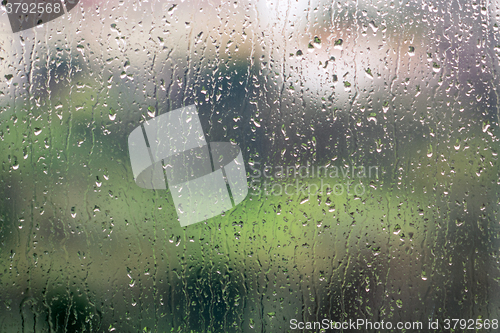 Image of Raindrops on the Glass