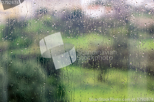 Image of Raindrops on the Glass