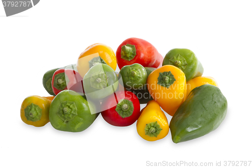 Image of Colorful paprica