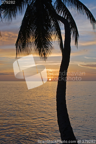 Image of Tropical Sundown