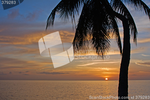 Image of Tropical Sundown