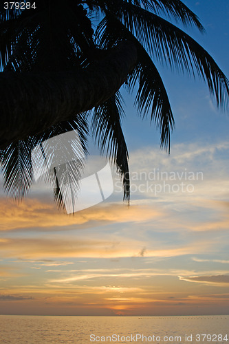 Image of Tropical Sundown