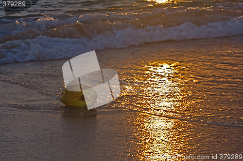 Image of Coconut