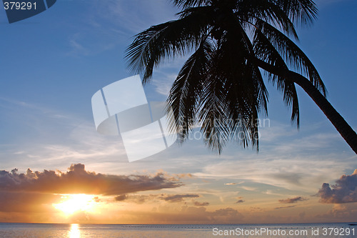 Image of Tropical Sundown