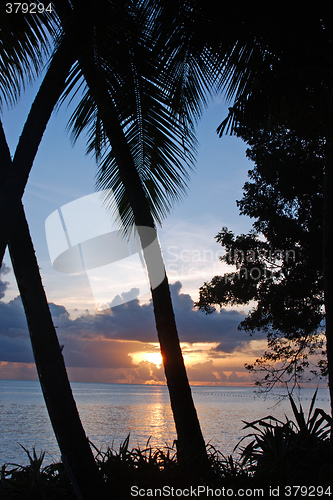 Image of Tropical Sundown