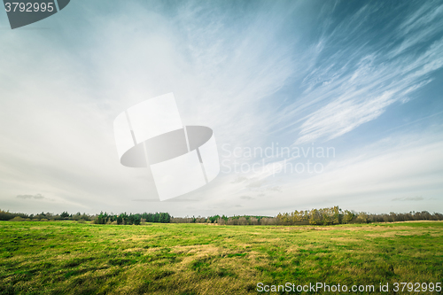 Image of Green fields in the autumn season