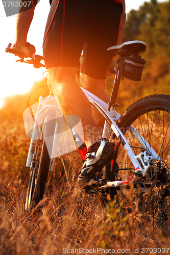 Image of Close up rear view of man spining bike pedals