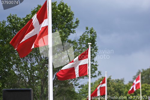 Image of Danish Flags