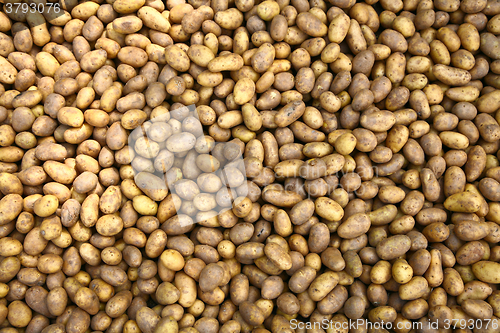 Image of Potatoes