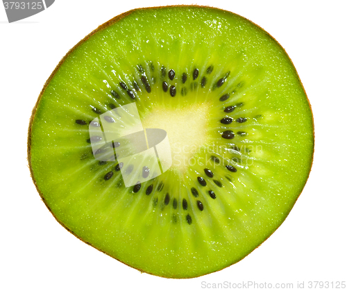 Image of Kiwi slice macro