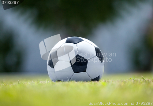 Image of Football on green grass