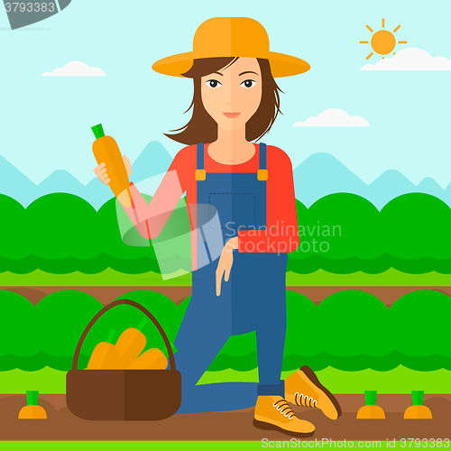 Image of Farmer collecting carrots.