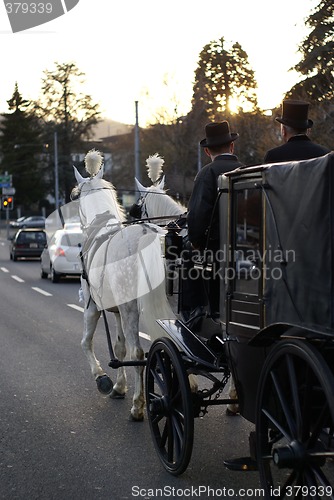 Image of horsed carriage in the city