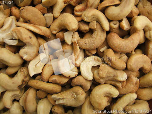 Image of Cashews nuts background