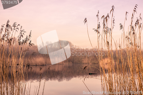 Image of Idyllic lake in the autumn