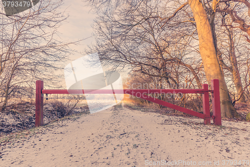 Image of Wooden barrier on a nature path