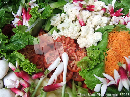 Image of Multicolored salad