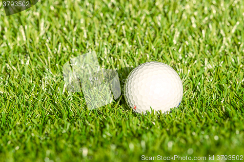 Image of Golf ball on astro turf