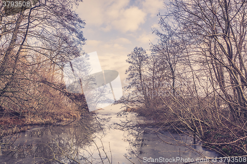 Image of Frozen river in a forest