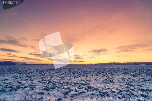 Image of Field covered with snow