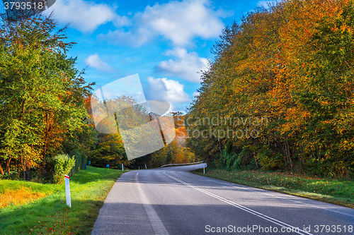 Image of Road with a curve in autumn