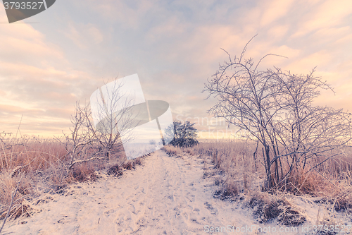 Image of Snowy winter landscape with a path