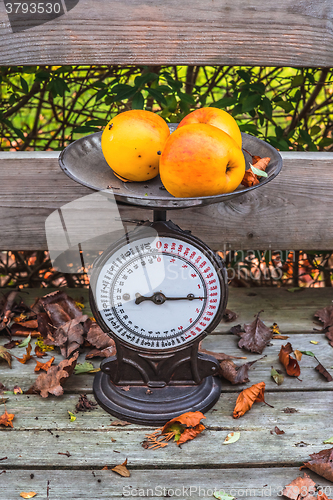 Image of Old weight with yellow apples