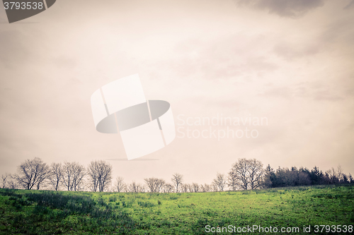 Image of Green landscape with tree silhouettes