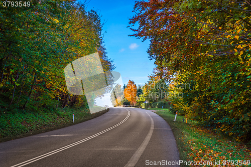 Image of Colorful trees by a road curve