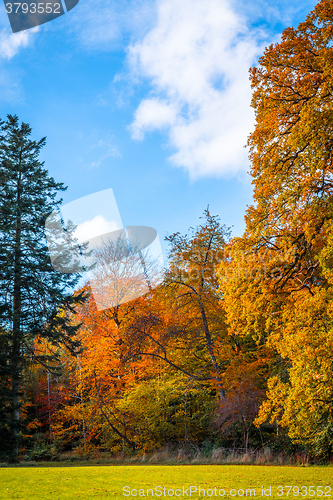 Image of Park with colorful trees in the fall