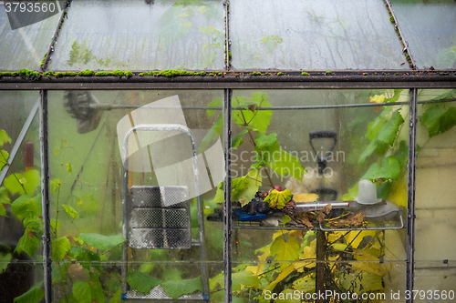 Image of Small greenhouse in the autumn