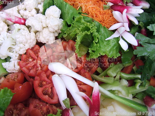 Image of Colorful salad