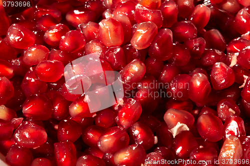 Image of Pomegranate red seed texture background