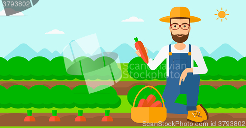 Image of Farmer collecting carrots.