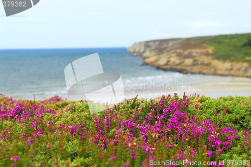 Image of Atlantic coast in Europe