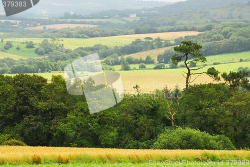 Image of Agricultural landscape