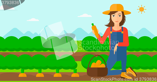 Image of Farmer collecting carrots.