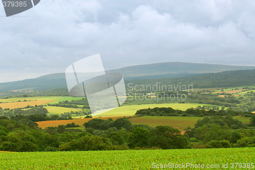 Image of Agricultural landscape