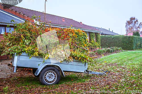 Image of Garden waste in a wagon