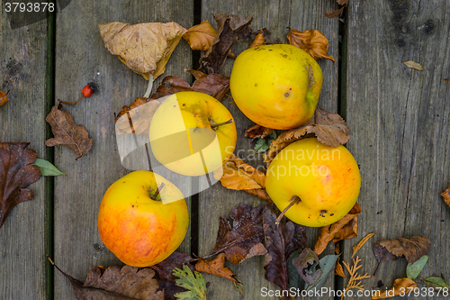 Image of Yellow apples on wooden table