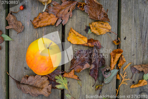 Image of Apple on a wooden background